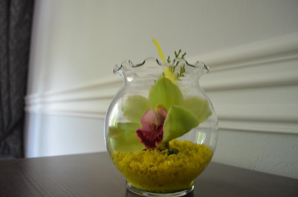 ורשה Apartament Orchidea Centrum חדר תמונה
