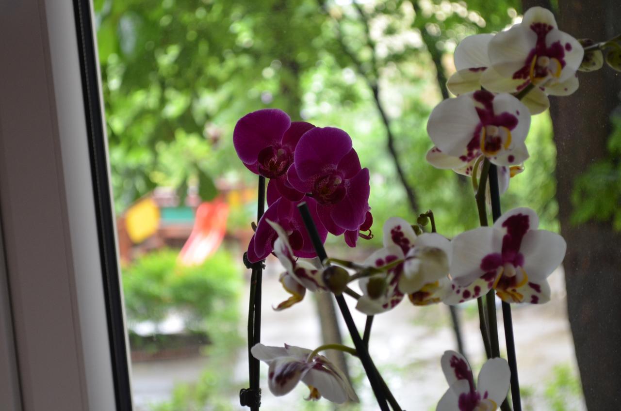 ורשה Apartament Orchidea Centrum מראה חיצוני תמונה